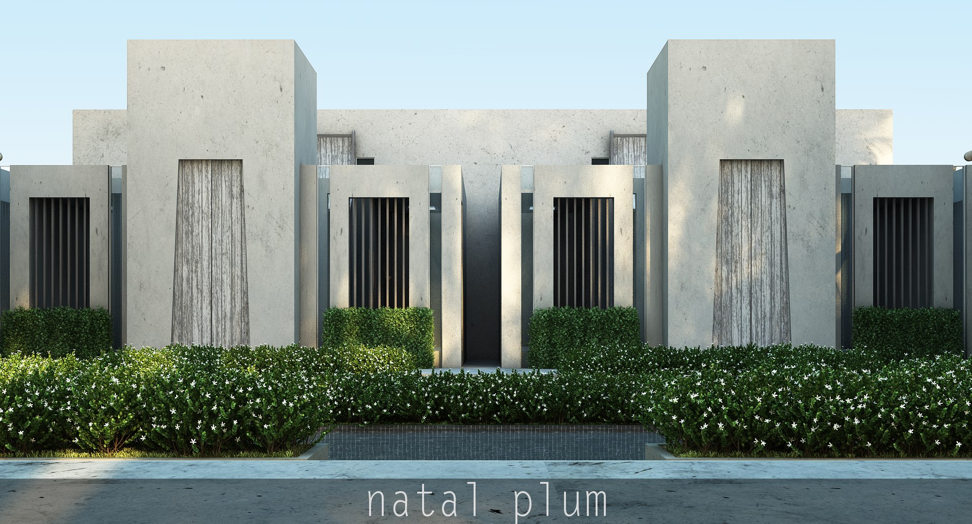 3d model tree scatter https://p.turbosquid.com/ts-thumb/8Z/Rzdj49/luBrPvk8/natalplum_000/jpg/1488246851/1920x1080/fit_q87/bb48cbeb390878e7a55e0ba439bedf9db0a981e5/natalplum_000.jpg