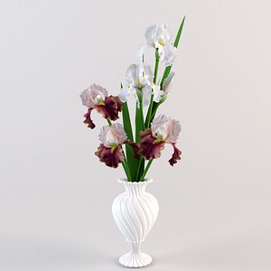 bouquet irises vase 3d model