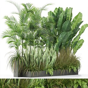 3D model Plants collection 586