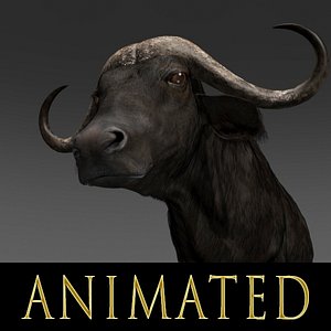 3d buffalo animations model