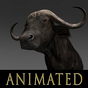 Animated Buffalo
