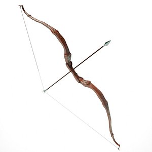 Elegant Bow and Arrow