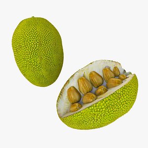 fruits 3D model