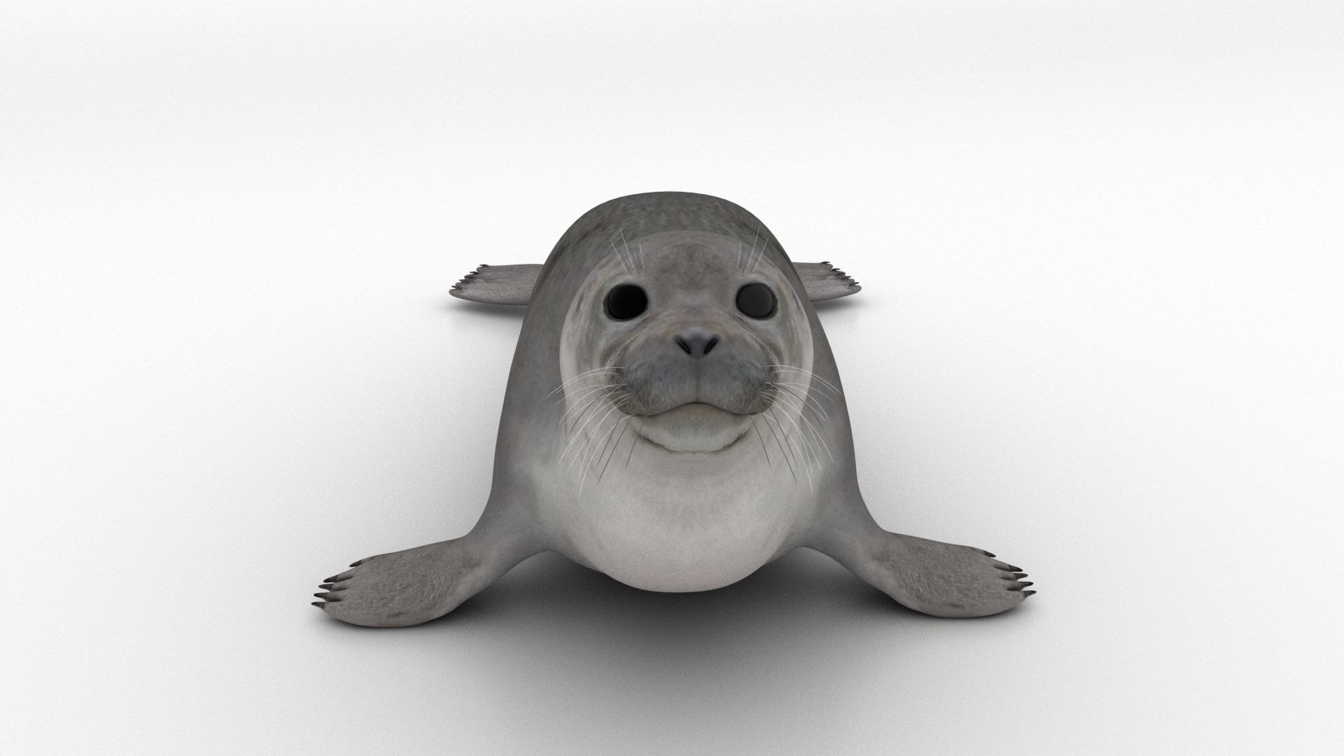 3D Seal 3d Model Model - TurboSquid 1756496