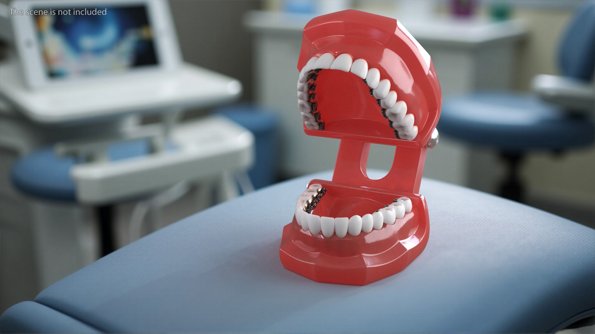 3D Lingual Braces On Typodont Teeth Model - TurboSquid 2335702