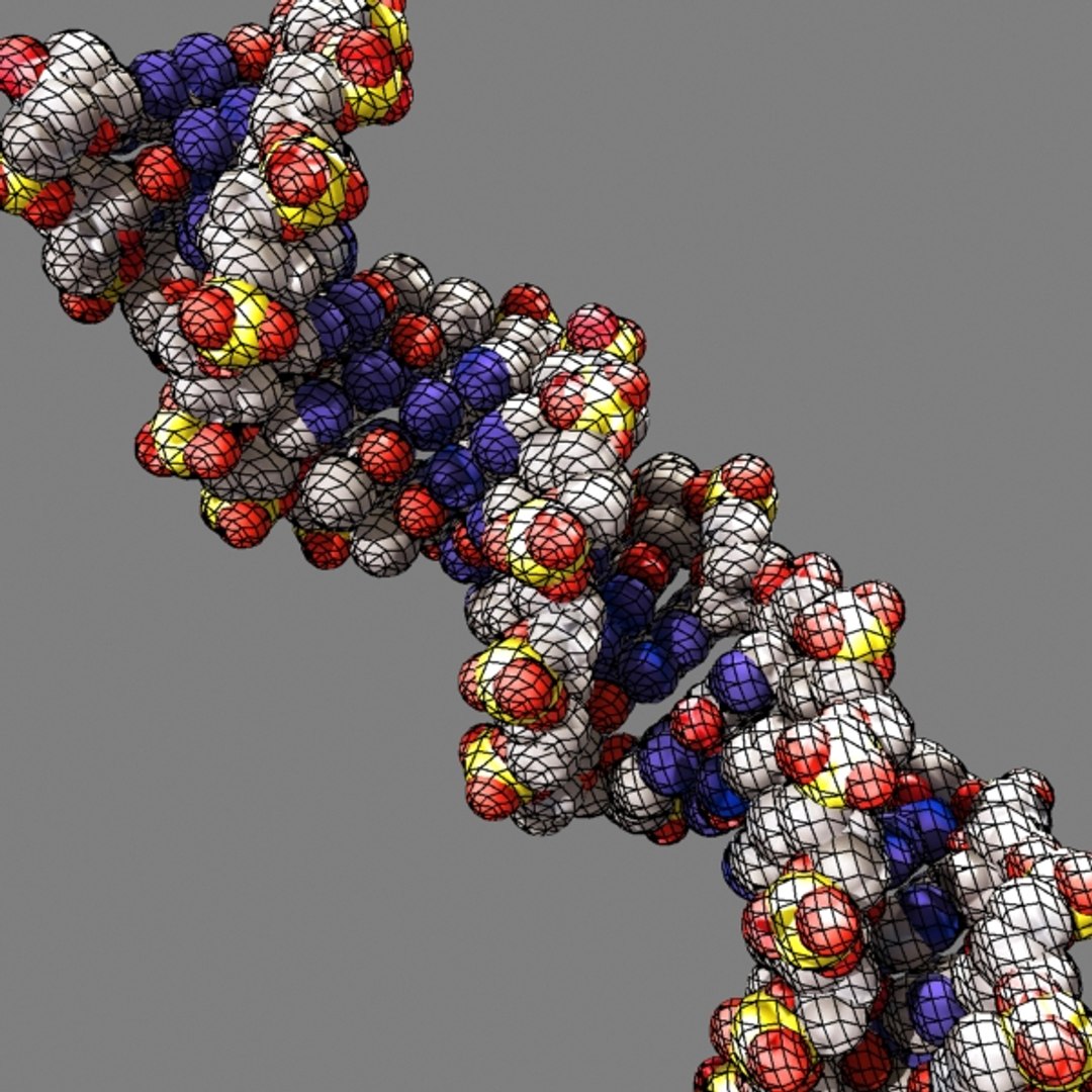 Dna Organically Max