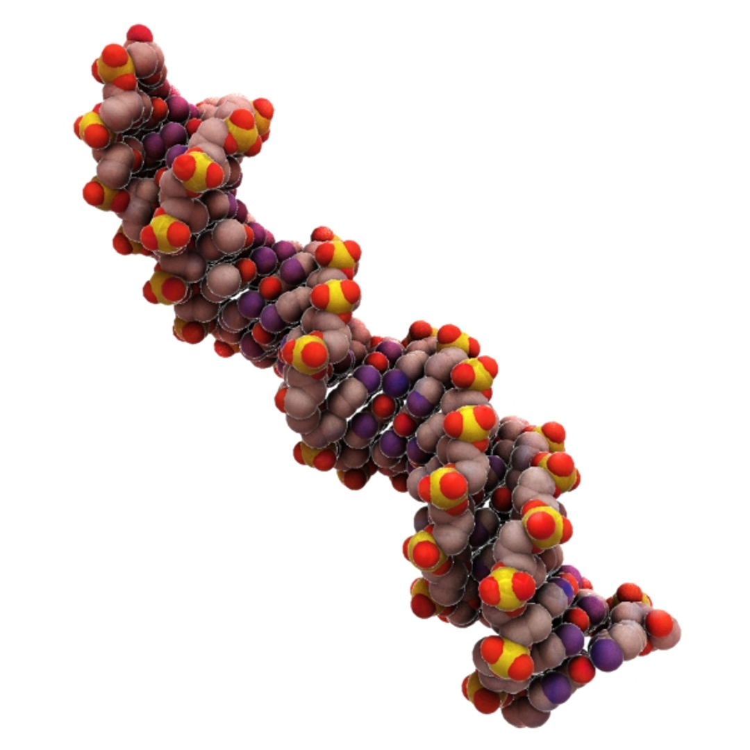 Dna Organically Max