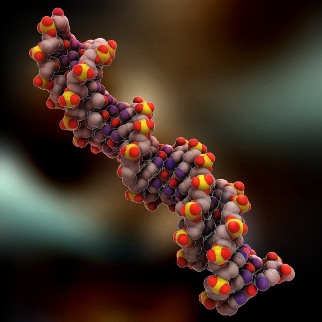 Dna Organically Max