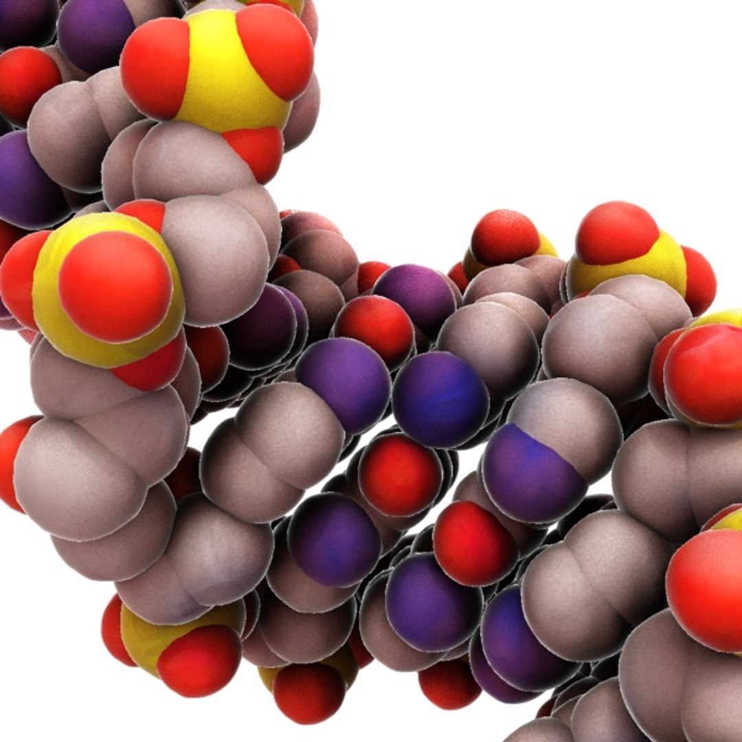 Dna Organically Max