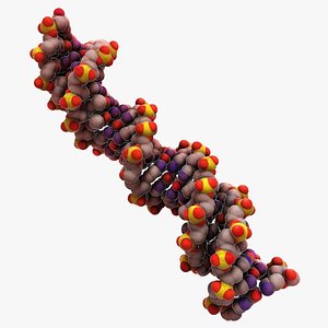 dna organically max