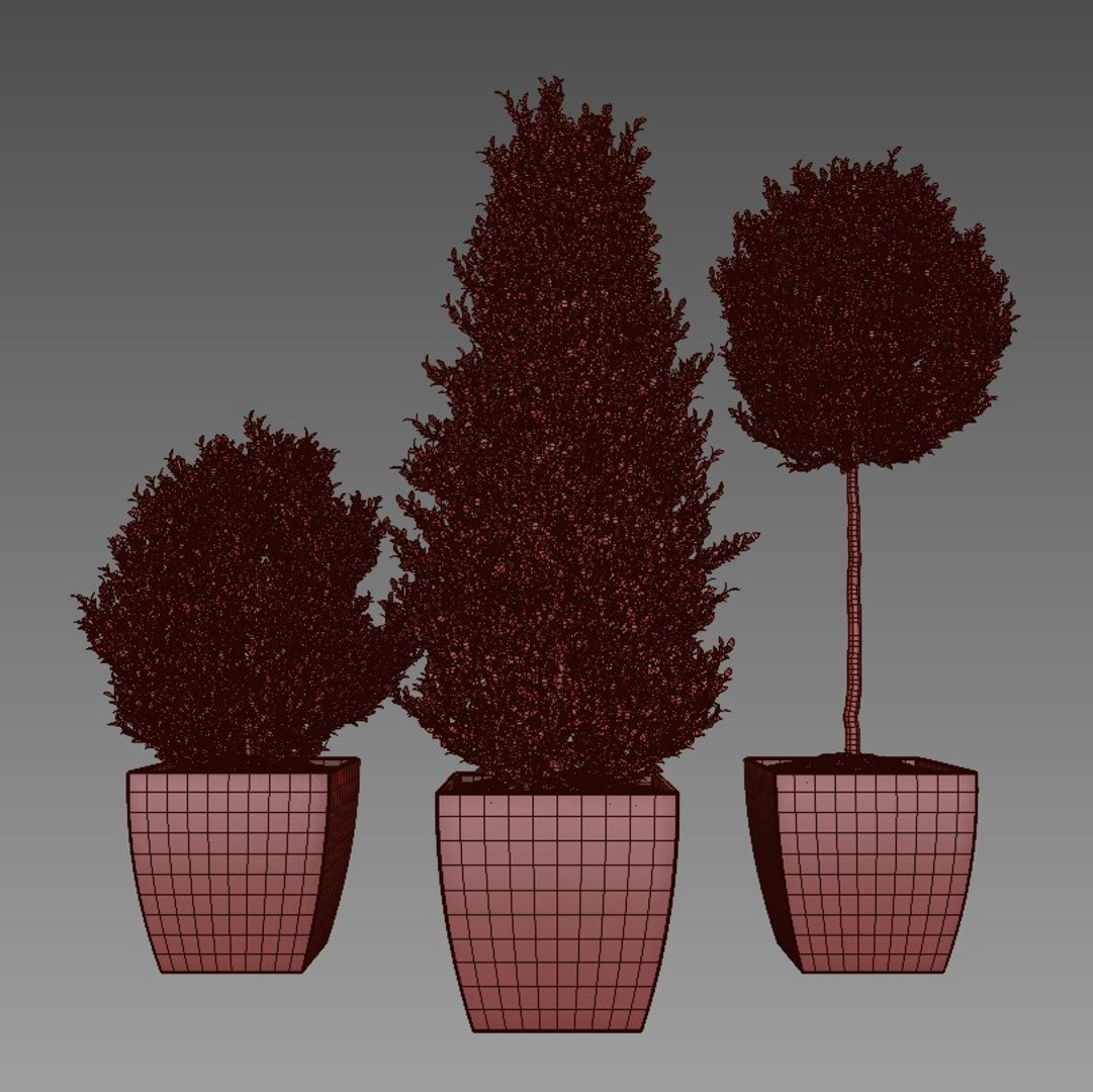 boxwood max https://p.turbosquid.com/ts-thumb/8a/dvaD3S/QjAewZpk/06/jpg/1466800512/1920x1080/fit_q87/cc007a5f77647ad4e51795c067c26a7ae735b89a/06.jpg
