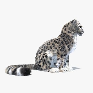 Snow Leopard Rigged