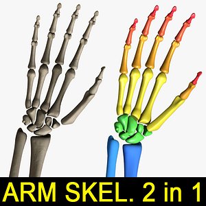 human arm skeleton 2 3d 3ds