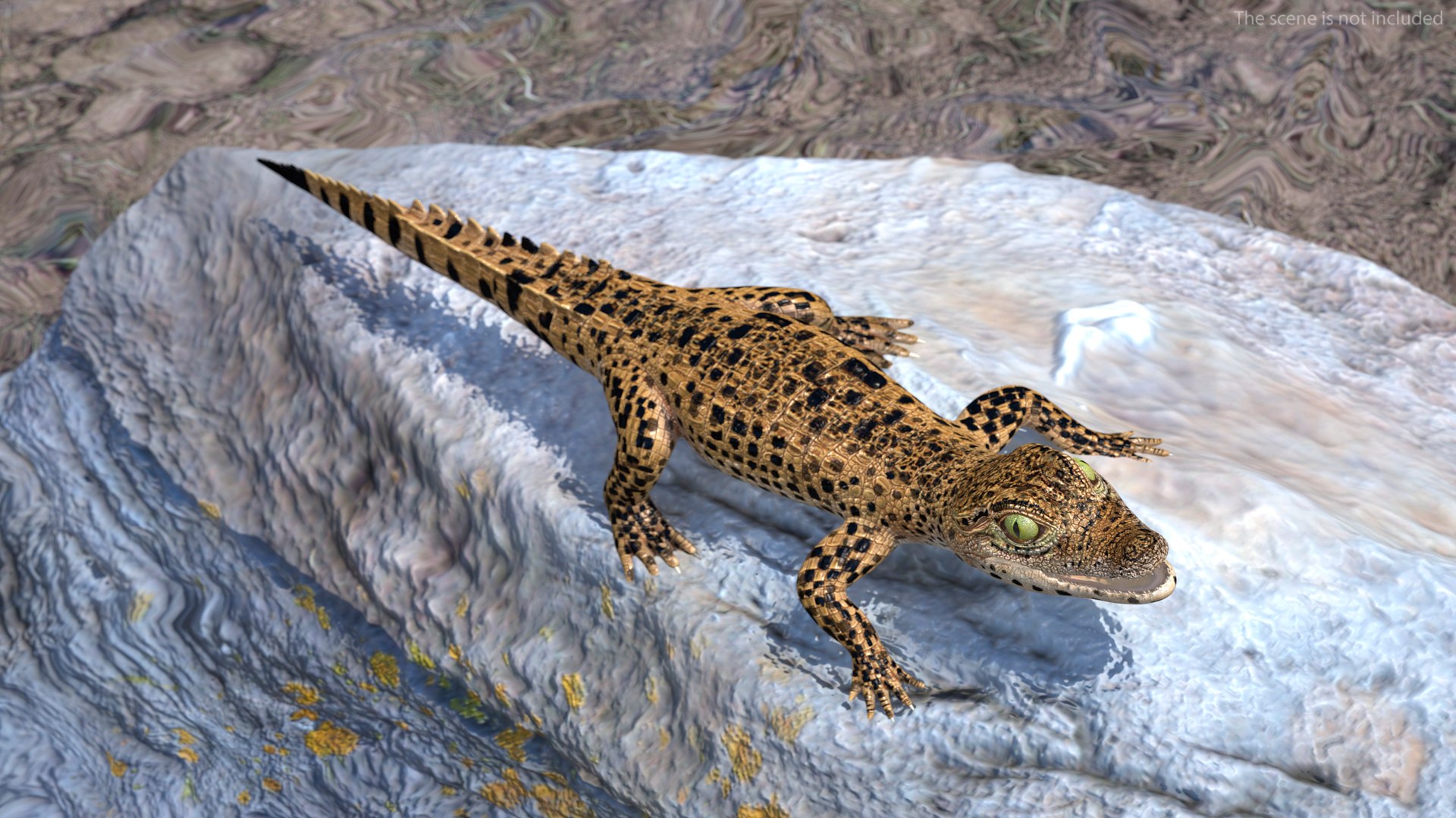 Rigged Reptiles Collection 2 for Cinema 4D 3D model preview
