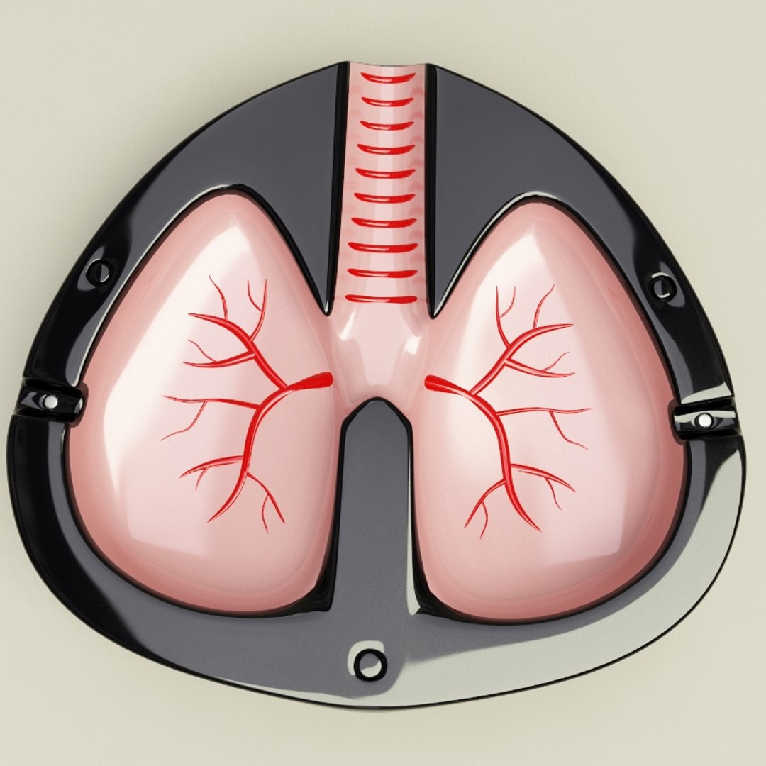 smoke v2 3d 3ds https://p.turbosquid.com/ts-thumb/8a/sZxmyQ/N6BY5UTp/smoke_collection_v2_72/jpg/1314186268/1920x1080/fit_q87/8c8a100a2e5d939e636bb3f96c1309aaf1ed67a3/smoke_collection_v2_72.jpg