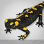 3d salamander lizard model