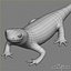3d salamander lizard model