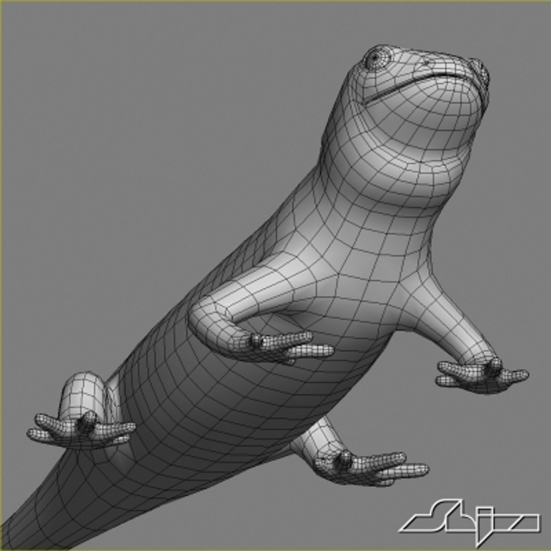 3d salamander lizard model https://p.turbosquid.com/ts-thumb/8a/vO4GHa/LHjTyVin/wire2/jpg/1280404120/1920x1080/fit_q87/a73f8962d6853975e3d7635dcabb62be3832ac50/wire2.jpg