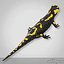 3d salamander lizard model