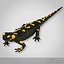 3d salamander lizard model