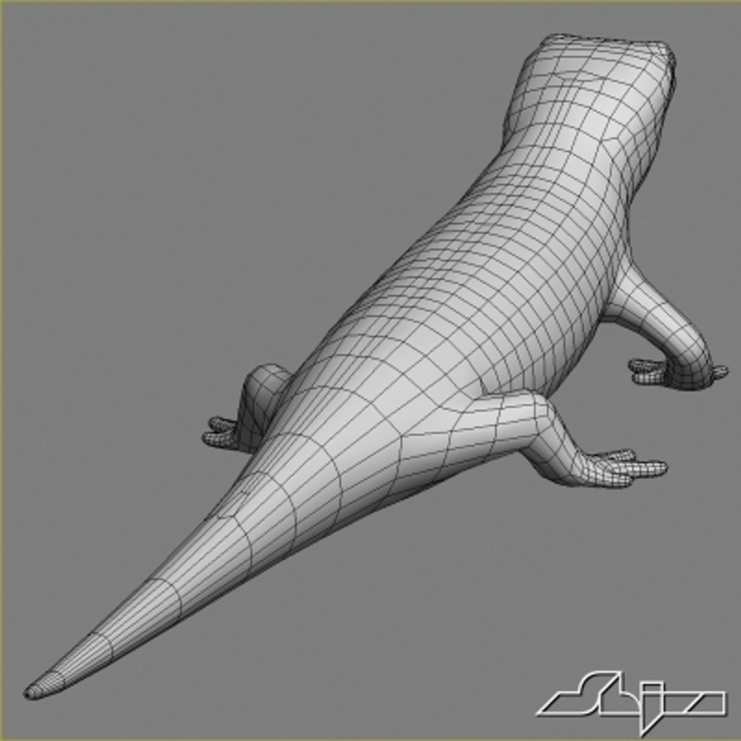 3d salamander lizard model https://p.turbosquid.com/ts-thumb/8a/vO4GHa/lYE9NrTn/wire3/jpg/1280404120/1920x1080/fit_q87/c69eef2519f78eed0c34a594aa18f9868cc035cc/wire3.jpg