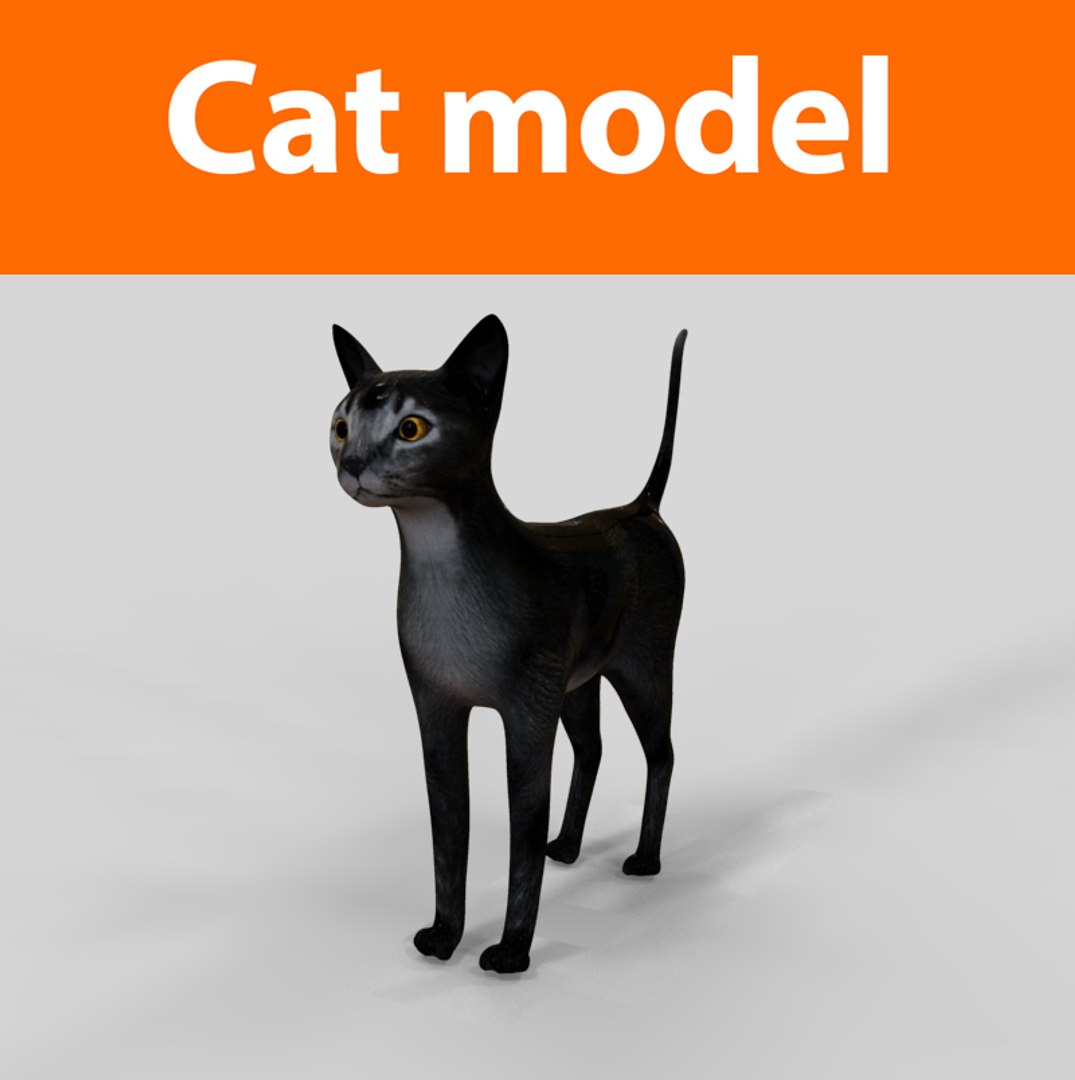 Cats Feline 3d Obj