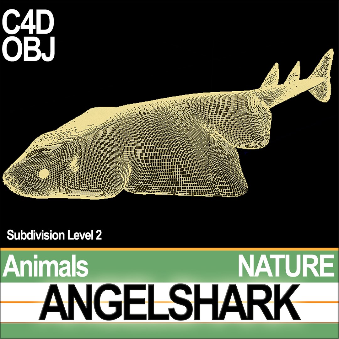 3ds angelshark squatina https://p.turbosquid.com/ts-thumb/8a/yf5CKr/ND/natureangelsharkc3/jpg/1692804081/1920x1080/fit_q87/e1f9247d2c91cbb2f5b435dce632c17fd47b54bb/natureangelsharkc3.jpg