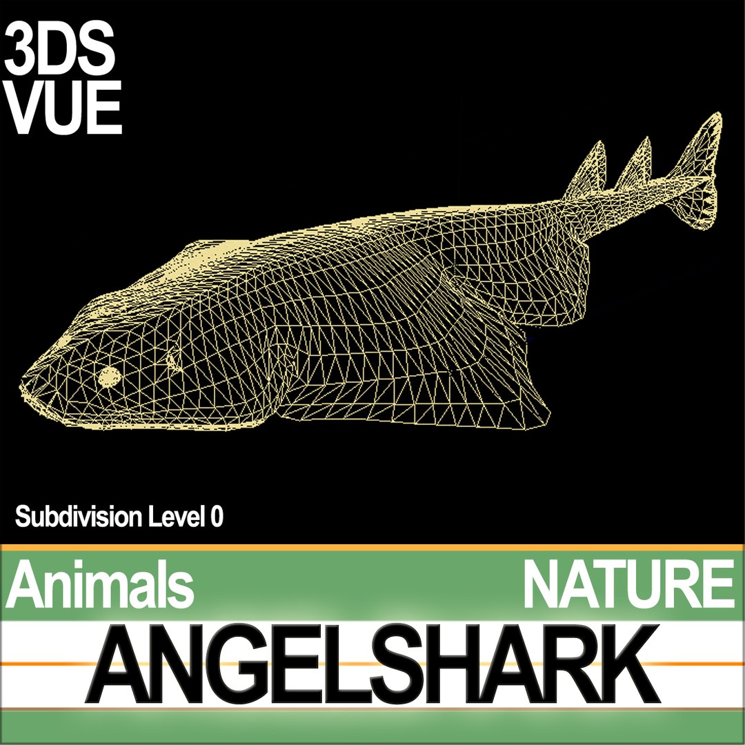 3ds angelshark squatina https://p.turbosquid.com/ts-thumb/8a/yf5CKr/zc/natureangelsharkc2/jpg/1692804065/1920x1080/fit_q87/38a7eefe86875eb7d6844ee308522e5eba14af0b/natureangelsharkc2.jpg