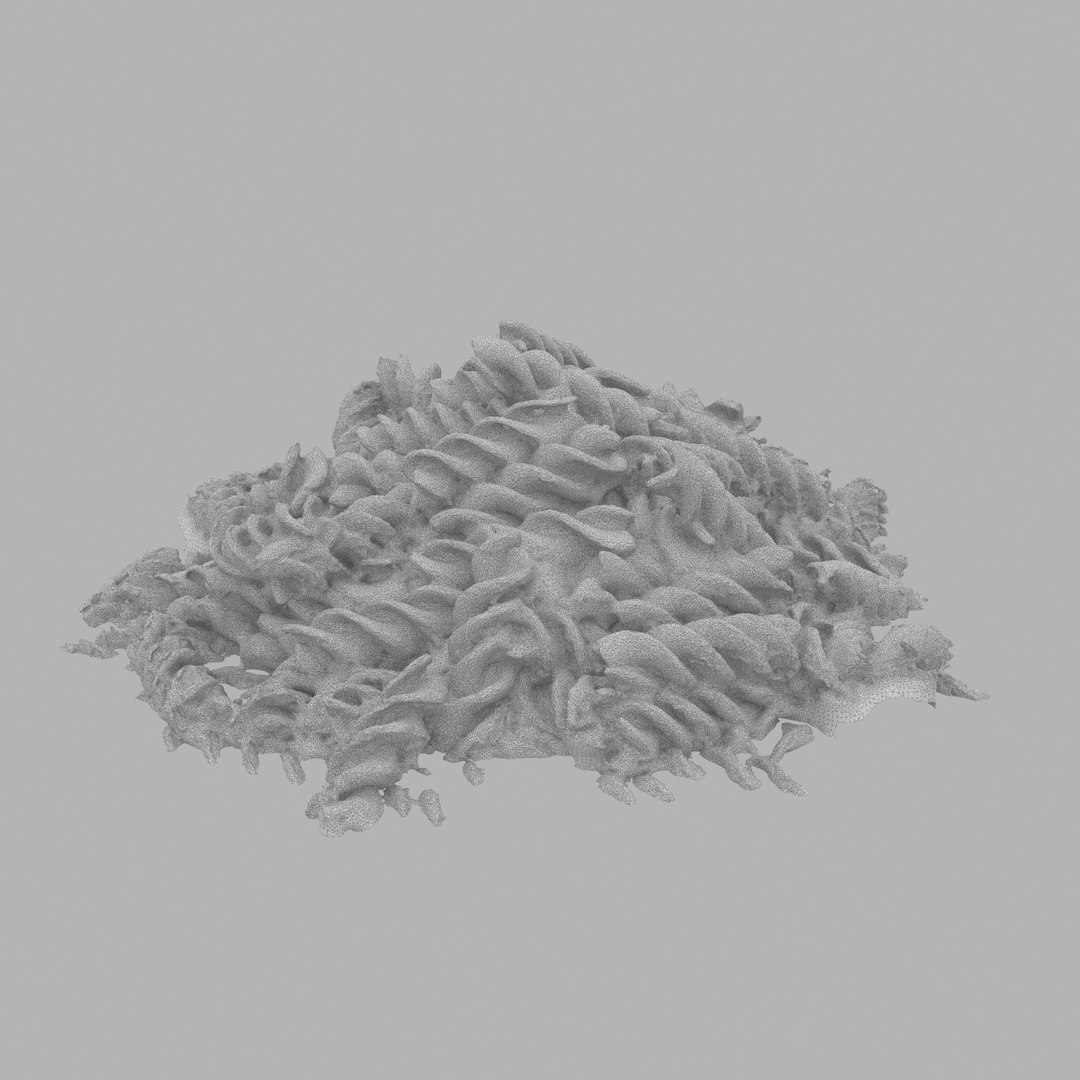 3D pasta wholegrain grain model https://p.turbosquid.com/ts-thumb/8b/8bZoru/Nh7UDco8/w01/jpg/1546962490/1920x1080/fit_q87/e060e938c83162eab12025df433765841af75d9b/w01.jpg