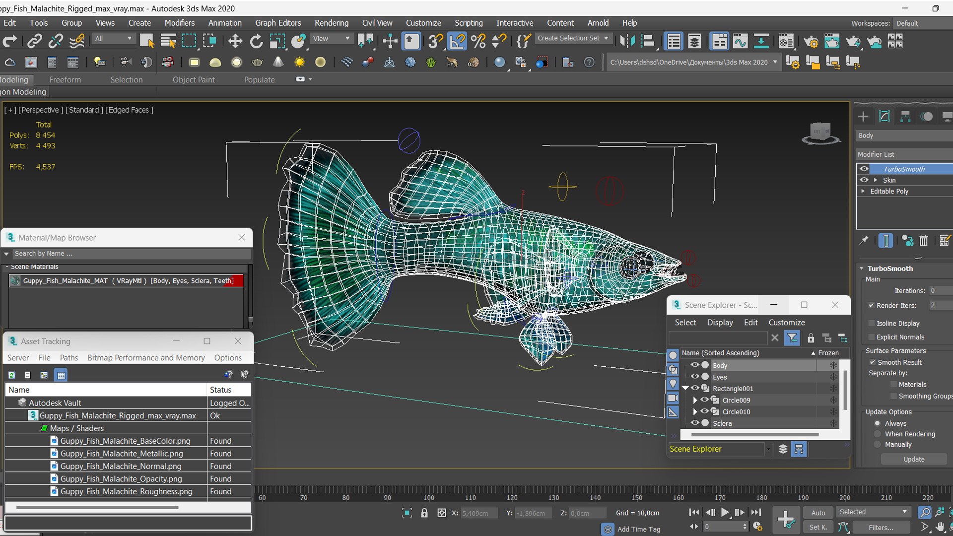 3D model Guppy Fish Malachite Rigged https://p.turbosquid.com/ts-thumb/8b/SCgIMp/5k/guppyfishmalachiterigged3dsmodel030/jpg/1723804767/1920x1080/fit_q87/8f3ea9e04ea2d903fd493446d8dcd3026617430d/guppyfishmalachiterigged3dsmodel030.jpg