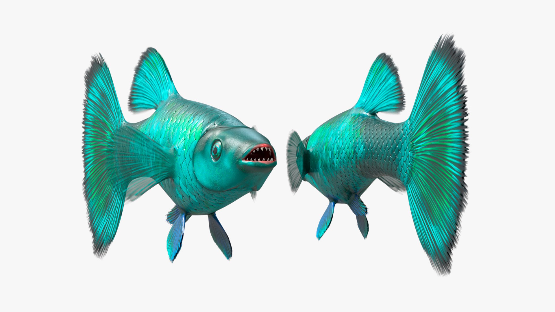 3D model Guppy Fish Malachite Rigged https://p.turbosquid.com/ts-thumb/8b/SCgIMp/OQ/guppyfishmalachiterigged3dsmodel013/jpg/1723804718/1920x1080/fit_q87/b3ca52aeb8ce4af2a4ff5962dc752bc08e291a1f/guppyfishmalachiterigged3dsmodel013.jpg