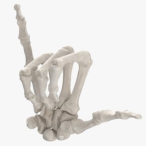 Real Human Hand Bones Hang Loose Sign(1)