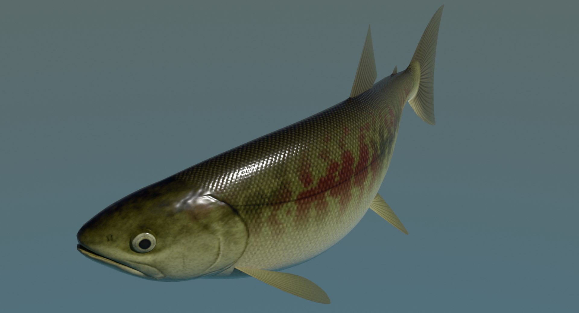 swimming sirozake 3ds https://p.turbosquid.com/ts-thumb/8b/wrK9II/cORql9Ra/sirozakefimage4/png/1604124324/1920x1080/fit_q87/fc0c5171e9a7b3ed25d9ad6c842db4fffe946bdc/sirozakefimage4.jpg