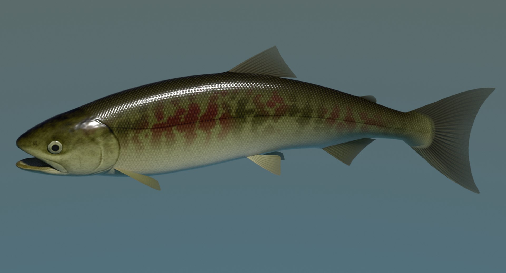 swimming sirozake 3ds https://p.turbosquid.com/ts-thumb/8b/wrK9II/mCndDOC9/sirozakefimage3/png/1604124324/1920x1080/fit_q87/ff4e6010b8f6ea691586d287dc51f16122bb13ef/sirozakefimage3.jpg