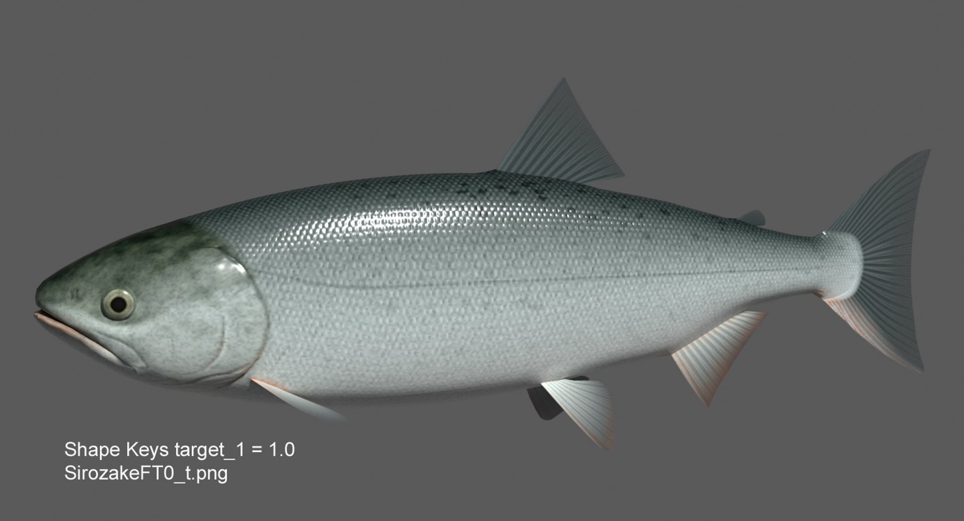 swimming sirozake 3ds https://p.turbosquid.com/ts-thumb/8b/wrK9II/oRGoAKgY/sirozakefimage2/png/1604124324/1920x1080/fit_q87/5b9396421cecdddd71711c6c4a3c9cd7a524a6c5/sirozakefimage2.jpg