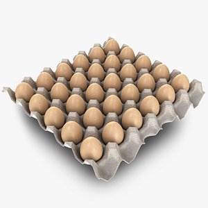 paper pulp egg tray 3D model