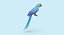 Parrot  Blue Perching
