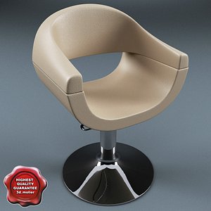 salon chair v3 3d 3ds