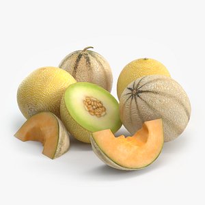 3d melons model