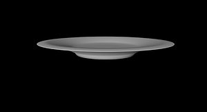 dinner plate 3d obj