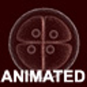 ovum division animation