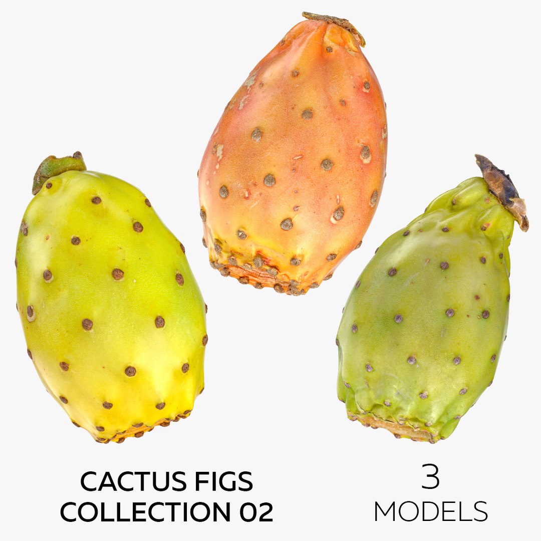 Cactus Figs Collection 02 - 3 models 3D model - TurboSquid 1794427