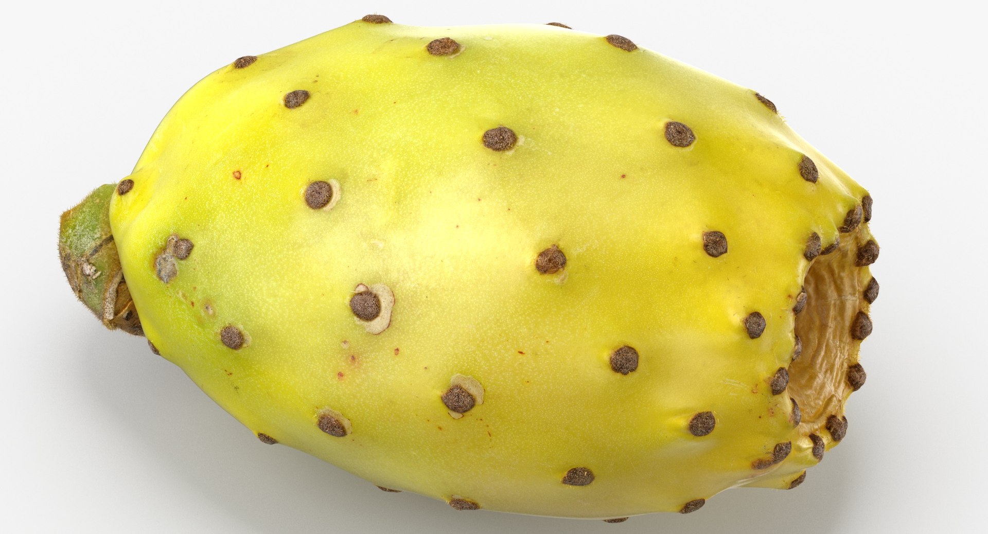 Cactus Figs Collection 02 - 3 models 3D model https://p.turbosquid.com/ts-thumb/8c/aPkB9q/MC/cactus_fig_02_thumbnail_0005/jpg/1633082638/1920x1080/fit_q87/5da1e7555d96dd845388c09b2057804b4c586d6a/cactus_fig_02_thumbnail_0005.jpg