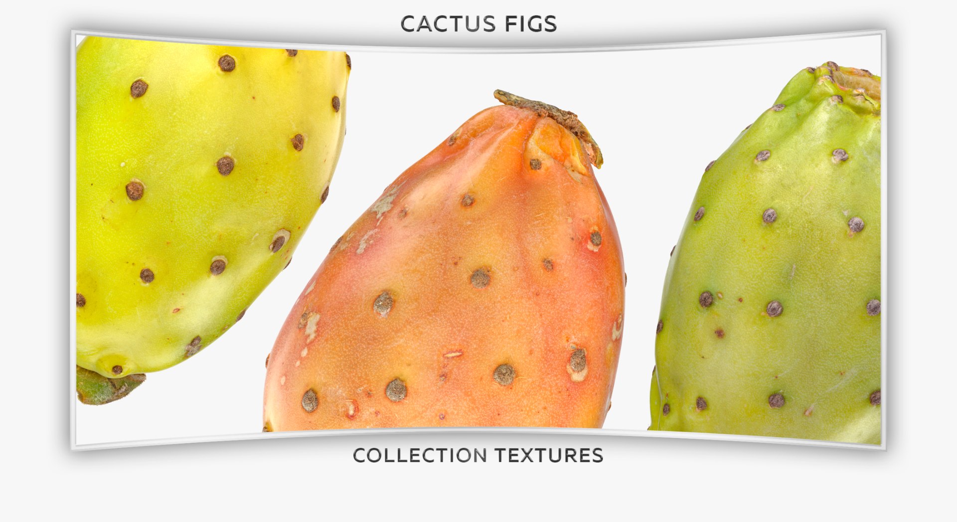 Cactus Figs Collection 02 - 3 models 3D model https://p.turbosquid.com/ts-thumb/8c/aPkB9q/WH/17t/jpg/1633082613/1920x1080/fit_q87/00529ad90ed5131599b674bbb96e1547e558e952/17t.jpg