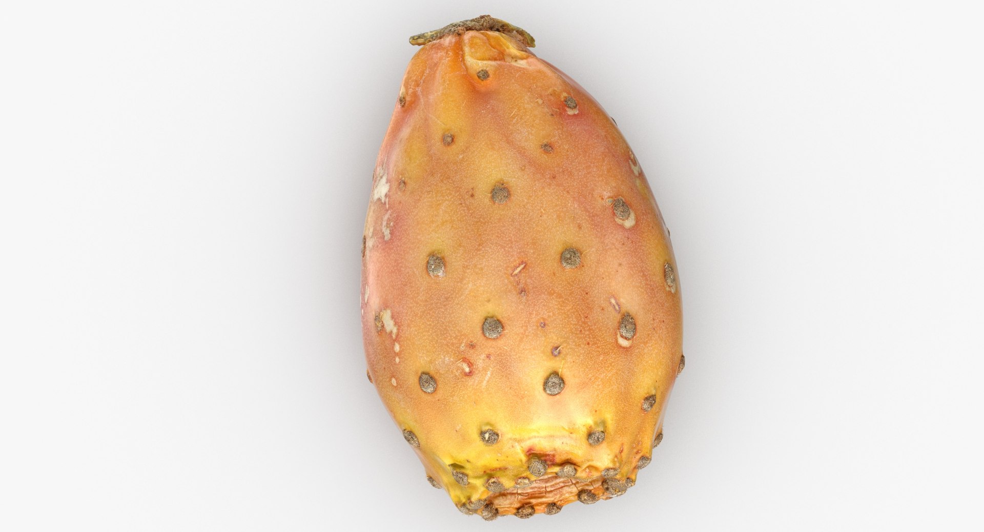 Cactus Figs Collection 02 - 3 models 3D model https://p.turbosquid.com/ts-thumb/8c/aPkB9q/XK/cactus_fig_05_thumbnail_0003/jpg/1633082637/1920x1080/fit_q87/9431393661f48422b4786633535e0b37ae82beef/cactus_fig_05_thumbnail_0003.jpg