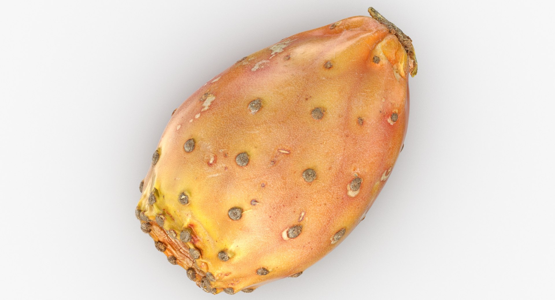 Cactus Figs Collection 02 - 3 models 3D model https://p.turbosquid.com/ts-thumb/8c/aPkB9q/jz/cactus_fig_05_thumbnail_0002/jpg/1633082639/1920x1080/fit_q87/154a844733d0395013931cd97d23cd4917eafc84/cactus_fig_05_thumbnail_0002.jpg
