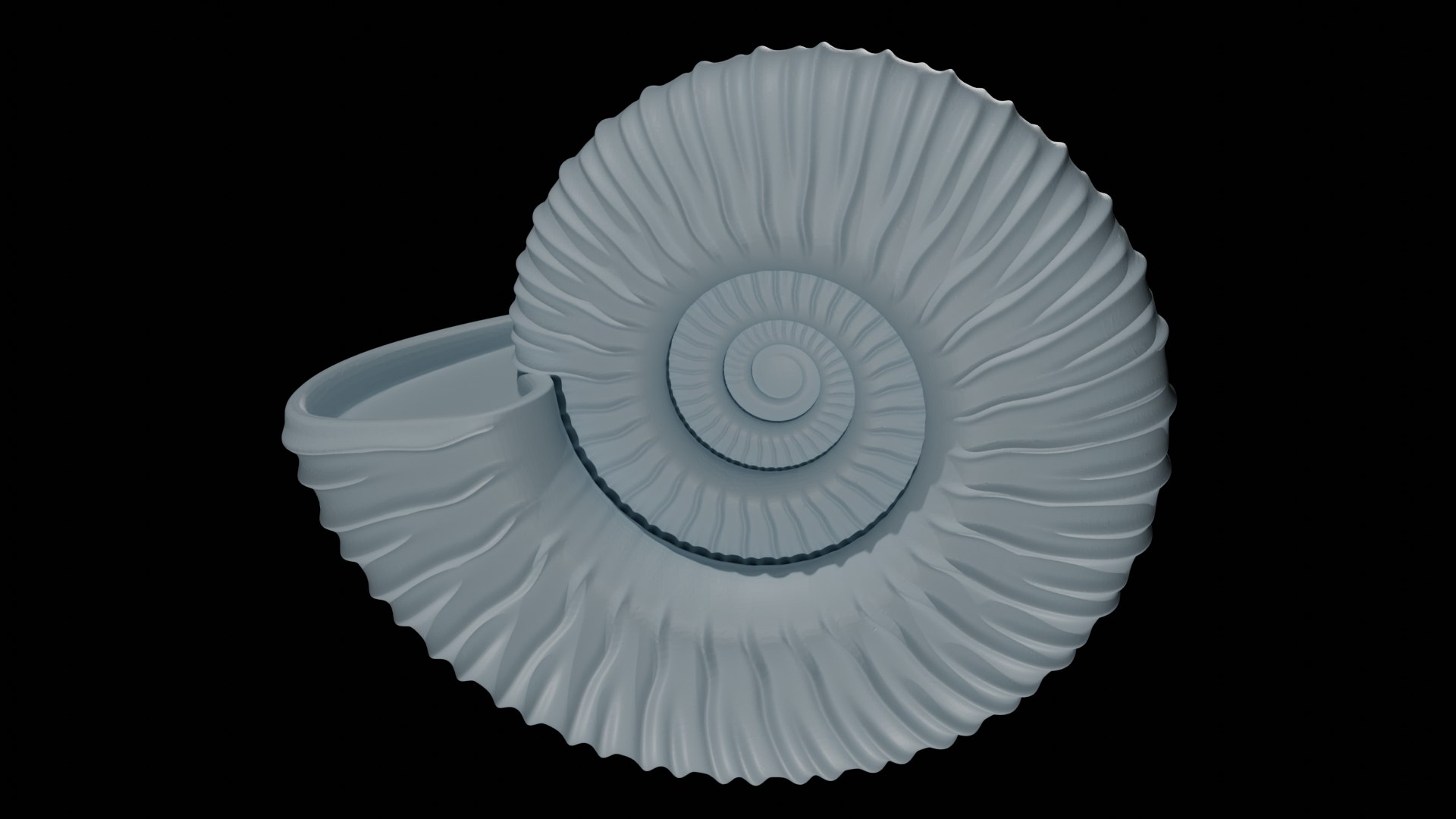 3D Ammonoid Shell With Intercalary Ribs - TurboSquid 2294975