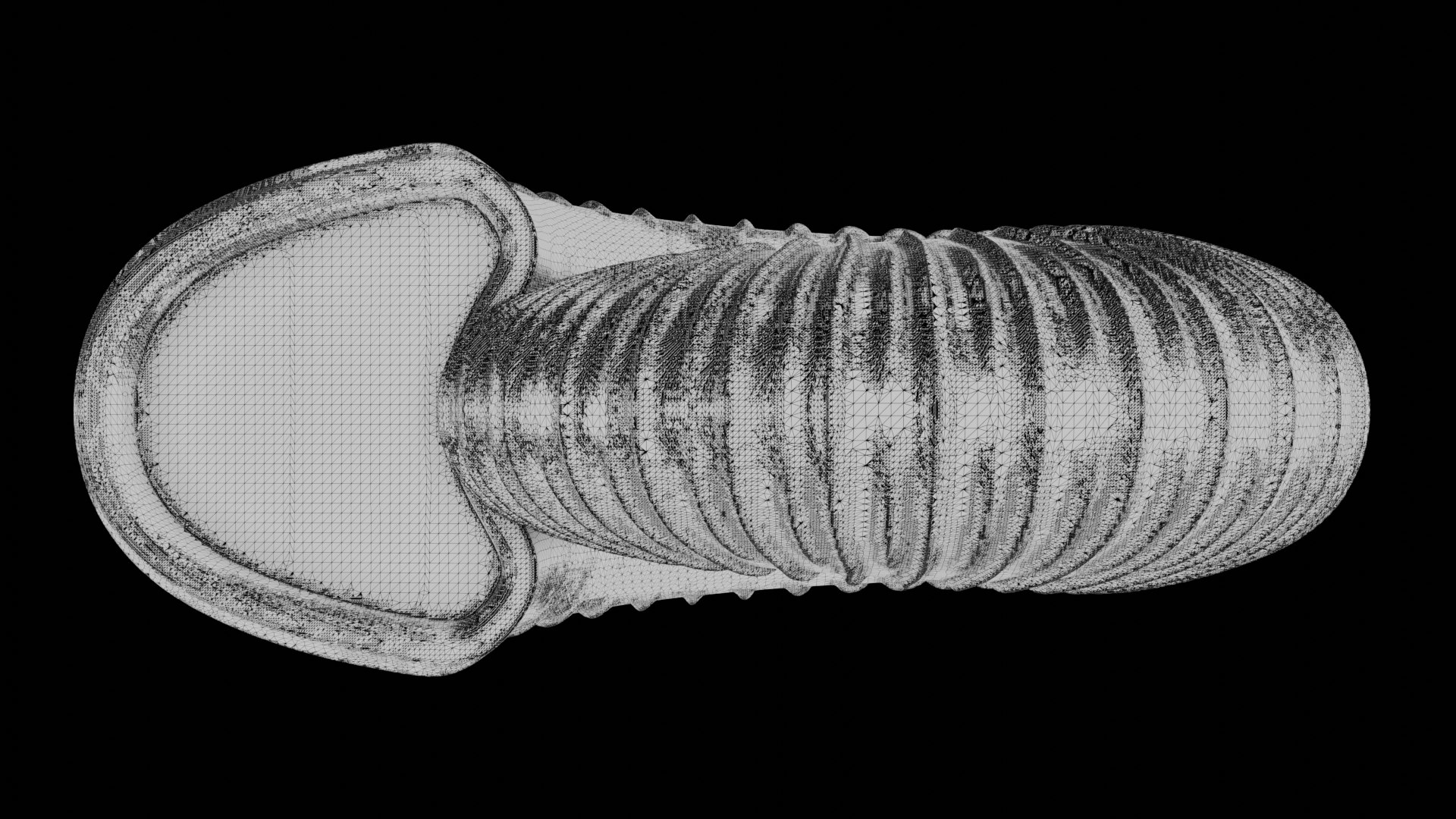 3D Ammonoid Shell With Intercalary Ribs - TurboSquid 2294975