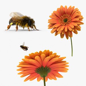 Honey Bee Fur Rigged For Blender Animated Set