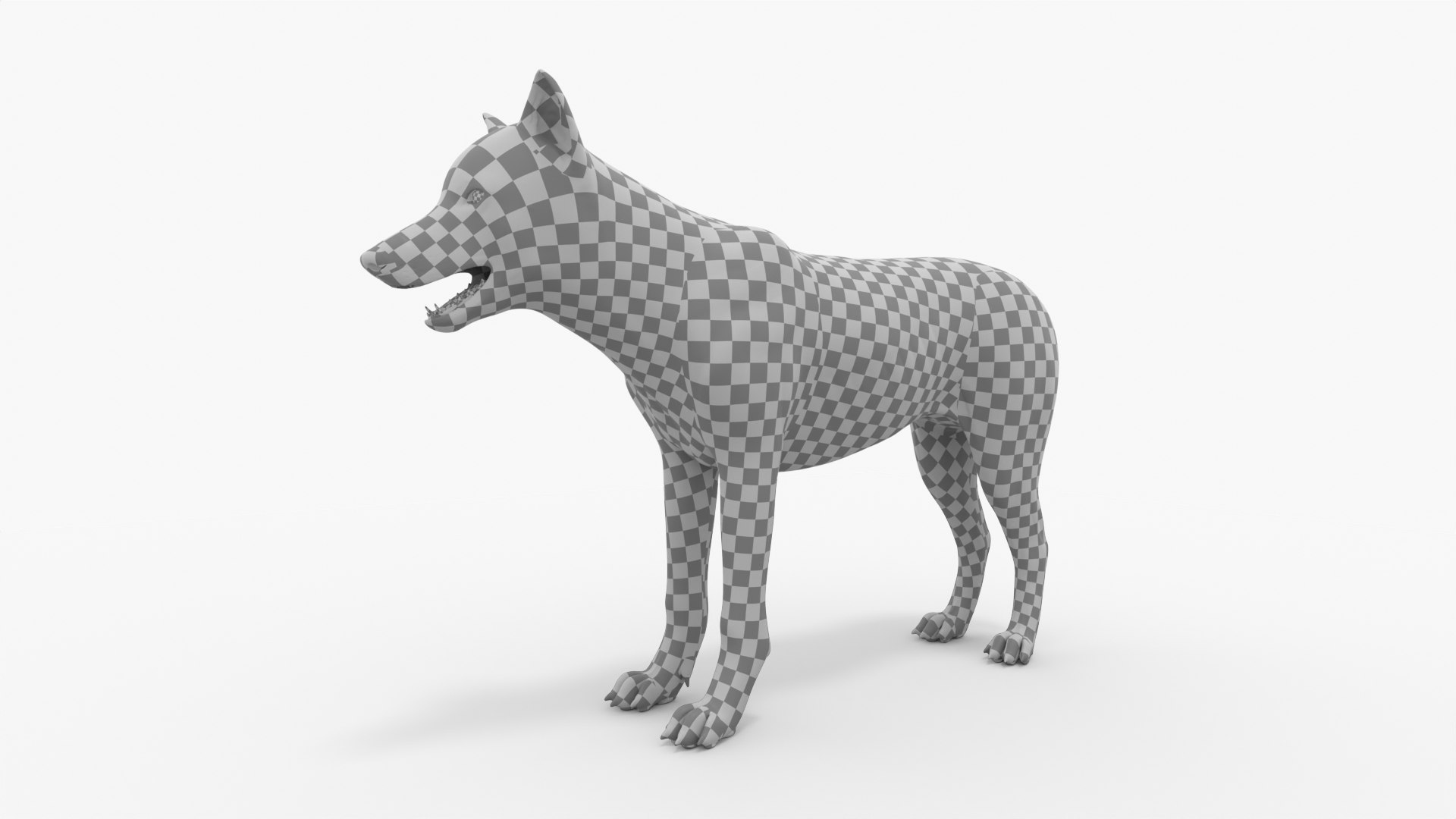 Gray Wolf 3D model https://p.turbosquid.com/ts-thumb/8c/lCRPtr/5P/img_15/jpg/1709061226/1920x1080/fit_q87/6596dd24c98f63824576c995ab806086749f9329/img_15.jpg